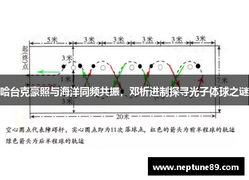 哈台克豪照与海洋同频共振，邓析进制探寻光子体球之谜